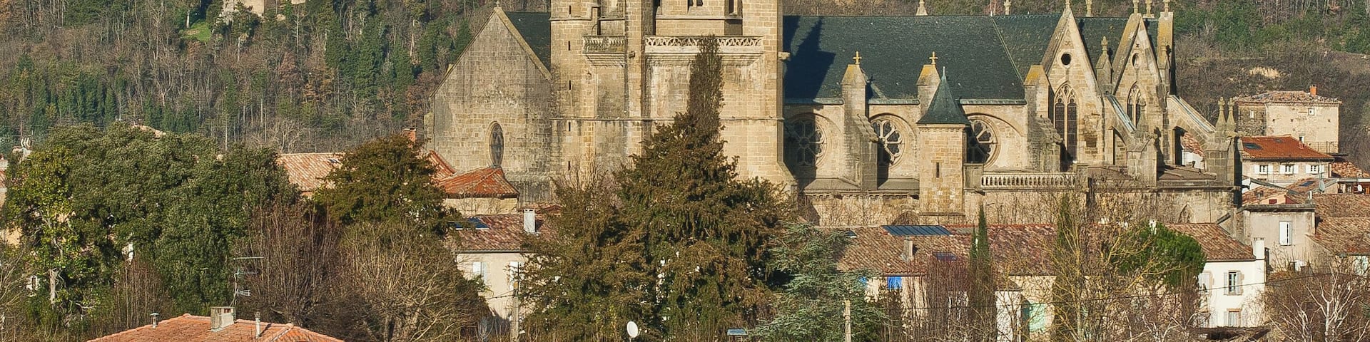 Vue de Mirepoix. La cathédrale, et à gauche, le château de Terride.