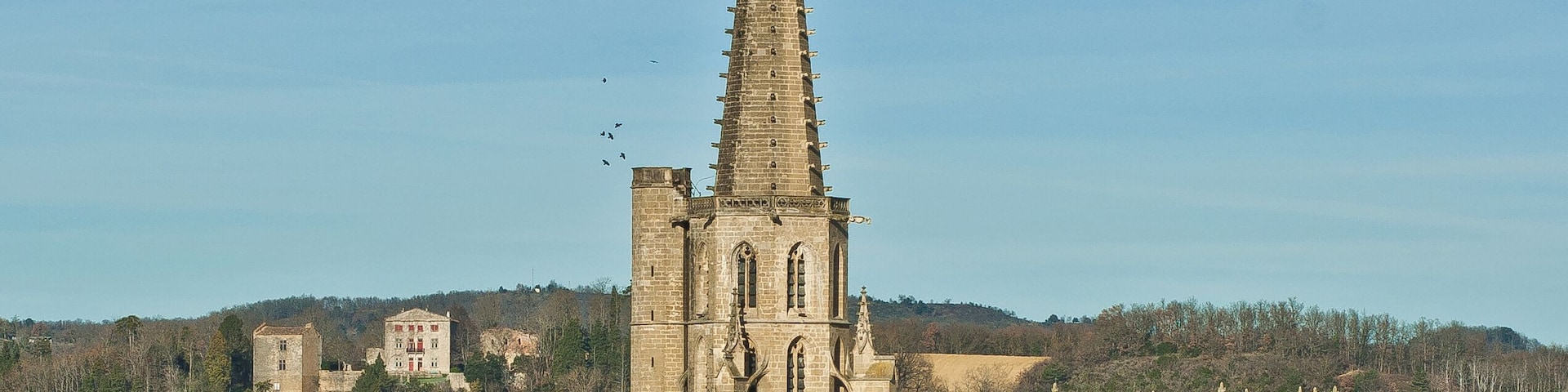 Vue de Mirepoix. La cathédrale, et à gauche, le château de Terride.