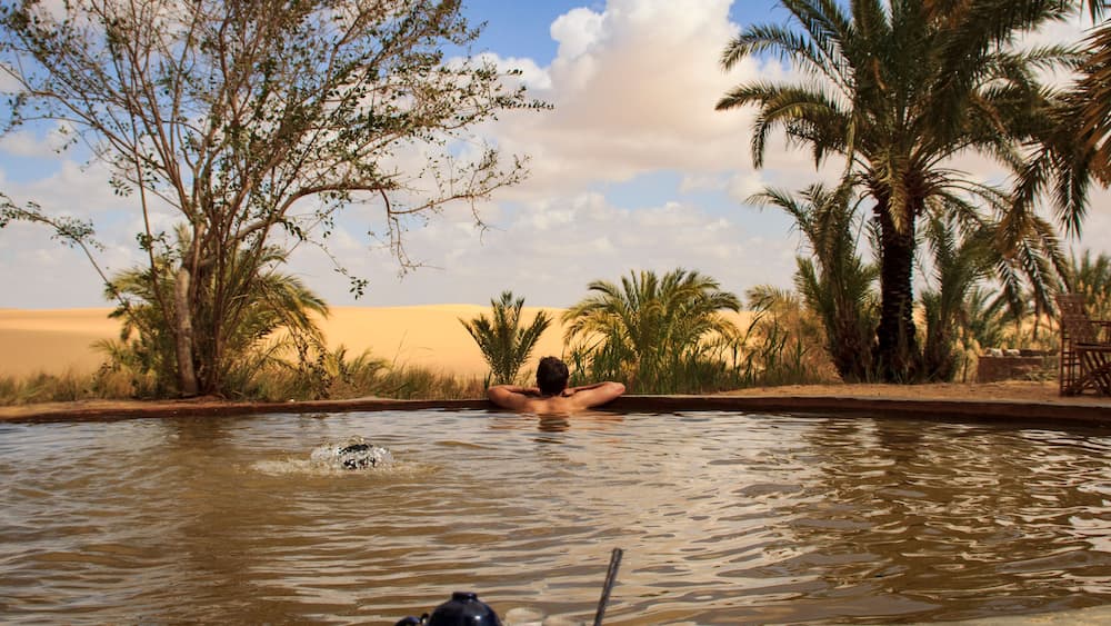 A desert landscape with a pool of water, palm trees, and a person relaxing in the water.