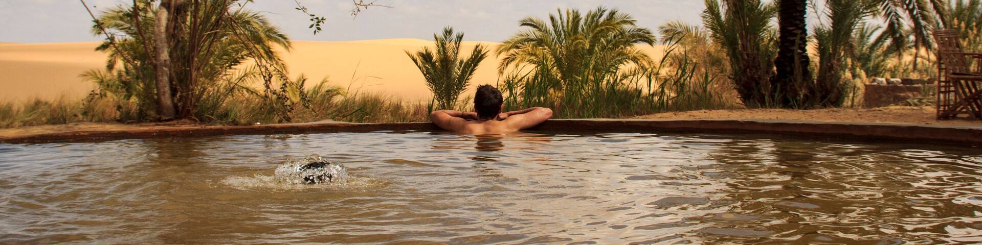 A desert landscape with a pool of water, palm trees, and a person relaxing in the water.