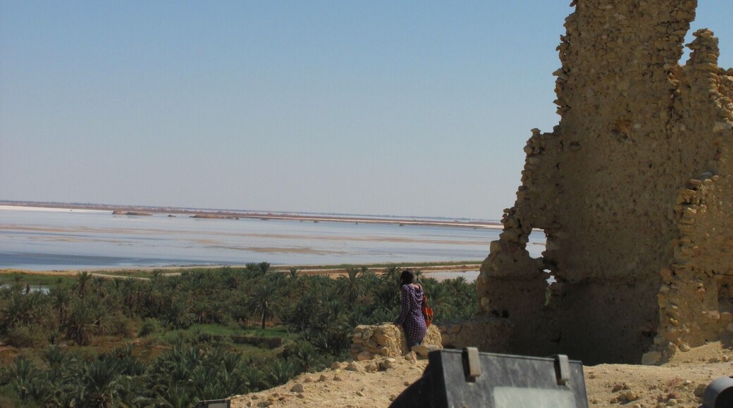 Siwa could be Egypt's best kept secret. If you are in Egypt and are not on a schedule, add this stop to your travels and you won't be disappointed. It is located about an hour east of the border of Libya, it is about an 8 hour drive from Cairo to Siwa.
The mud houses fill the main part of Siwa and have existed there for hundreds of years. It only rains a couple times a year, which is how these buildings still exist, though they are no longer used. There are many cool things to check out in Siwa:
- jump in one or several refreshing springs to cool down with (Cleopatra springs recommended)
- float in thigh deep waters at Siwa Lake (aka Salt Lake); this lake may be just as salty if not saltier than the Dead Sea. Be careful walking on the rocks/sand as the salt may give you tons of tiny laceration that you don't notice till later. There's an island in the middle of the lake that you can walk to since the entire lake is very shallow (about knee to thigh deep depending if you break through the crusty sand surface, very difficult walking but entertaining).
- try sandboarding in the Sahara Desert
- Spend a night at a Bedoin Camp, very authentic
- bikeride around town
- or just enjoy the laidback atmosphere of the town
Truly a one-of-a-kind town.