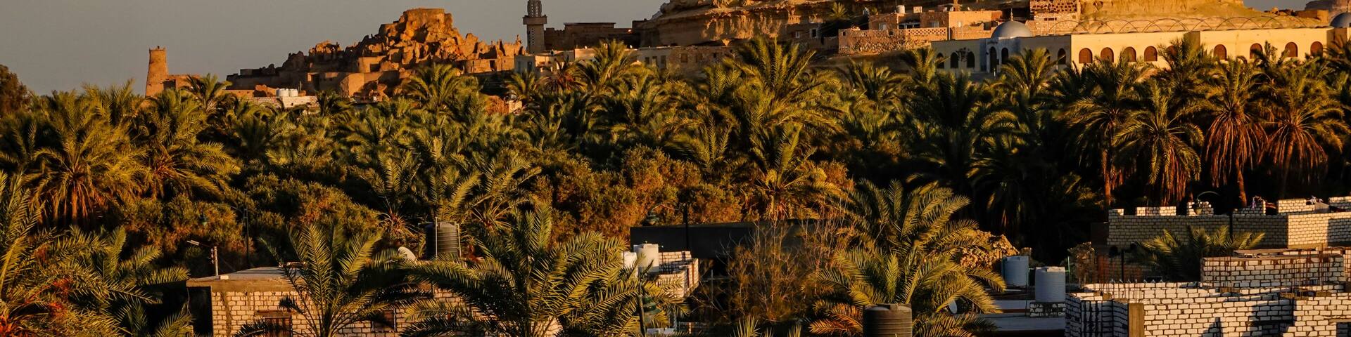 Siwa Oasis, Egypt The Siwa skyline and and date palms.