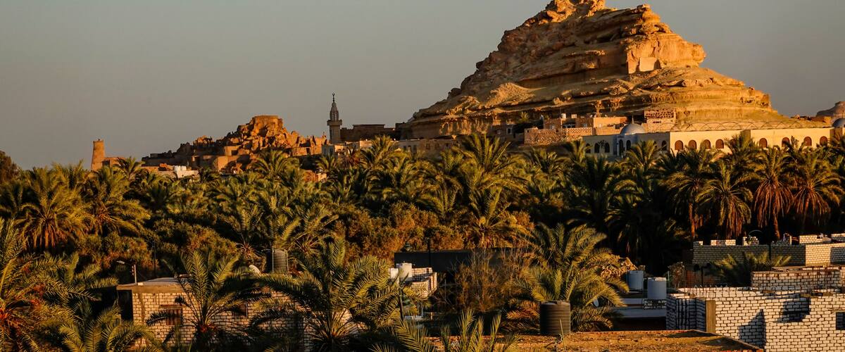 A mountainous landscape with palm trees and traditional buildings.