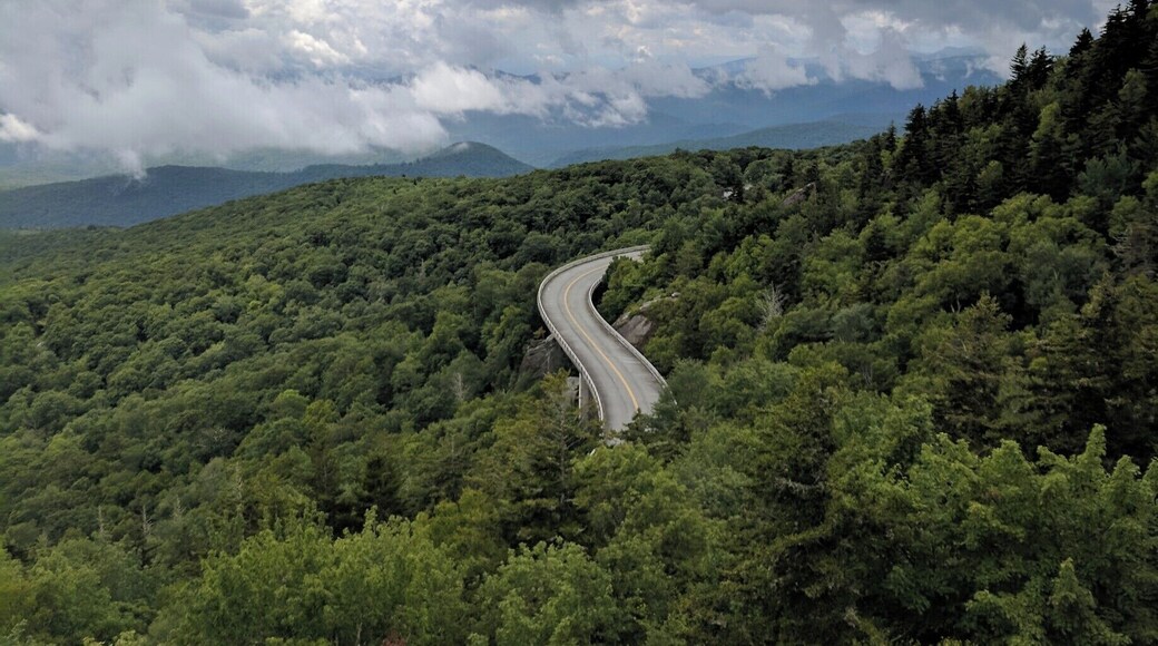 A sight of civilization amidst the vast Blue Ridge Mountains. Of the themes that I've attributed to the Appalachian region is civilization within nature. In Appalachia these things go hand in hand. A place that is hard to live in terms of weather and landscape, still never fails to attract people to live here. I took this picture on an un-official hiking trail that leads to an overlook of the Linn Cove Viaduct. The hike was extremely strenuous as there was no official trail to follow and it was mostly vertical all the way up. My roommate and I also heard some strange animal noises going up and I was stung by a yellow jacket, but it was all worth it for this picture. #appalachianechoes