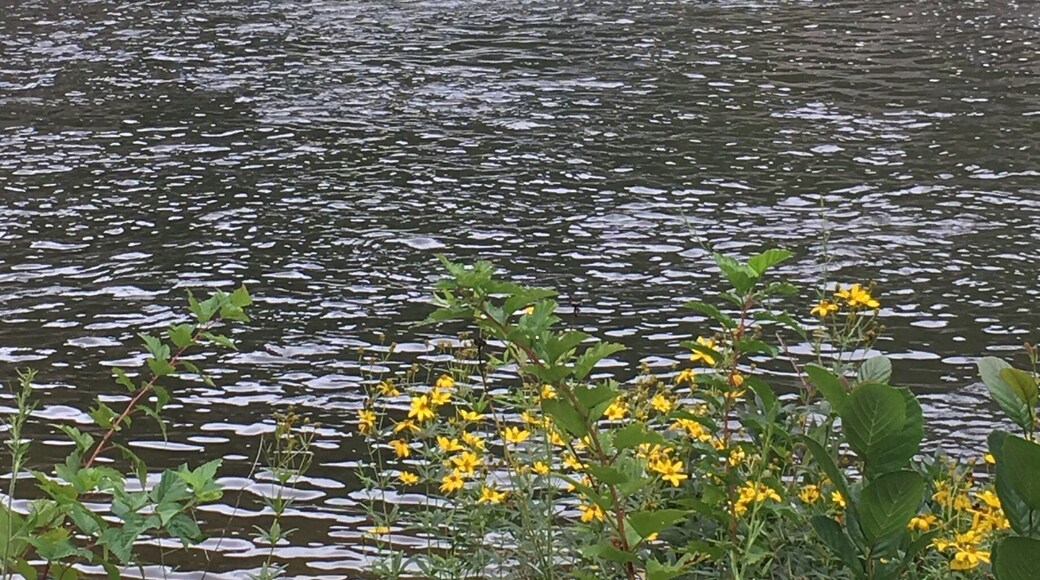 Great Hiking and waterfalls