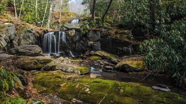 A small but wonderful park to stop at if you are in the area. There are several small waterfalls that are within short walking distance from the parking area. View a video of Waterfalls Park here: https://www.hdcarolina.com/episode/waterfalls-park
#Green