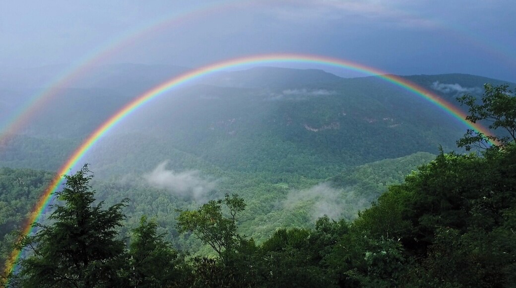 You never know what is going to pop-up on a view during a summer rain storm. Chestoa View surprised us with this.
Video guide: https://www.hdcarolina.com/episode/chestoa-view
#DoubleRainbow #ChestoaView