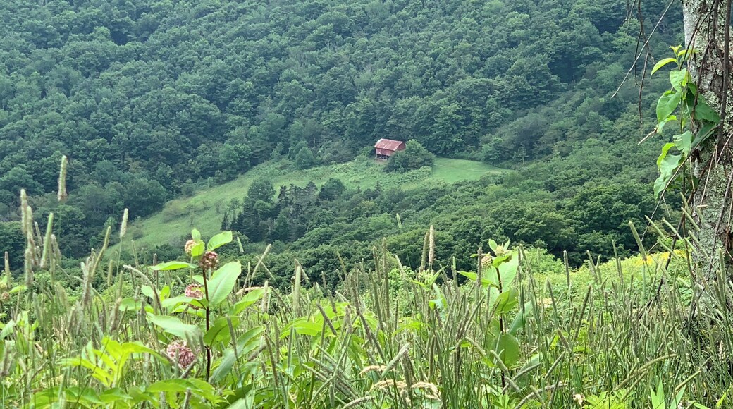Overmountain shelter from the AT.