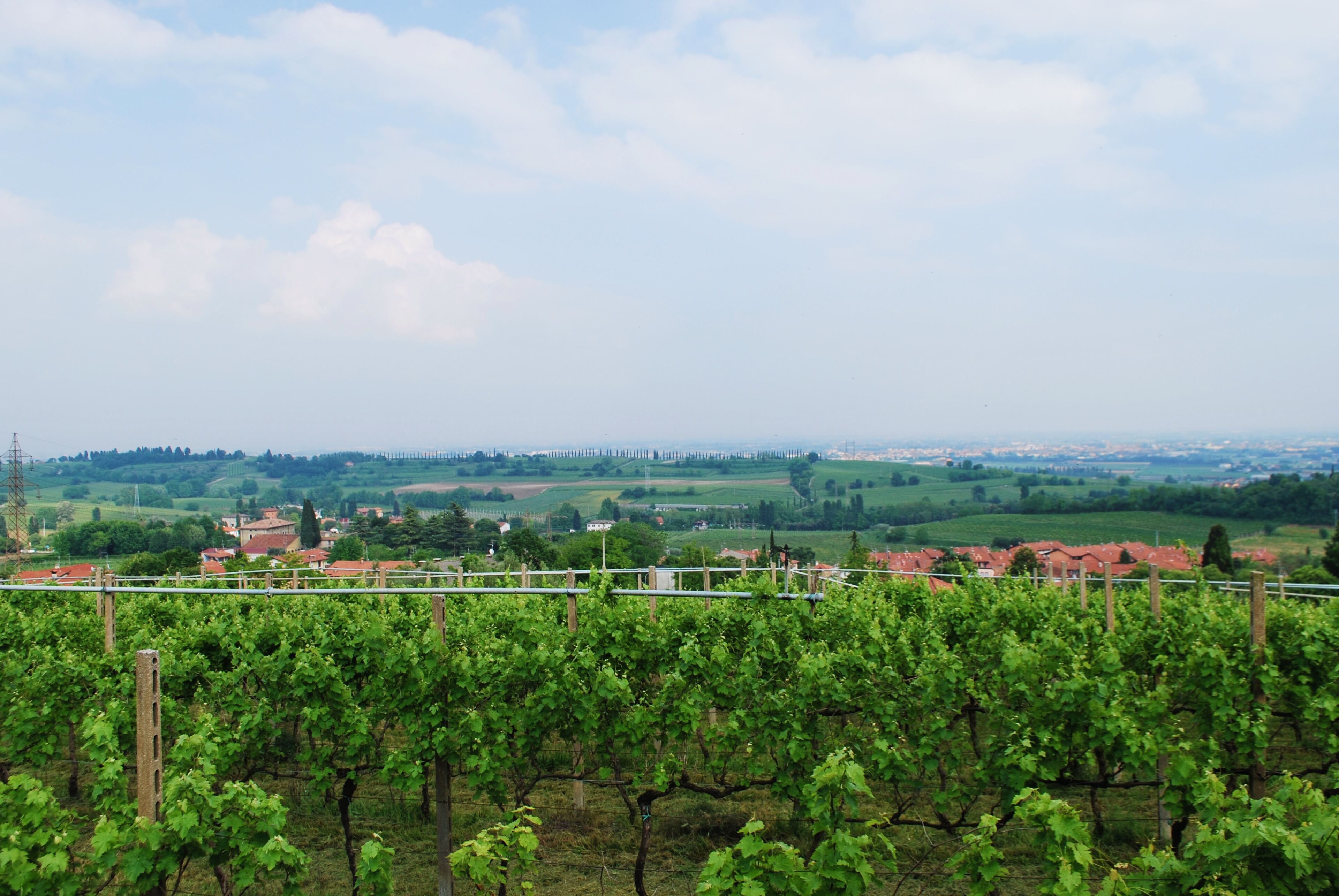 Panorama dall'ossario di Custoza a Sommacampagna in provincia di Verona, Veneto, Italia.