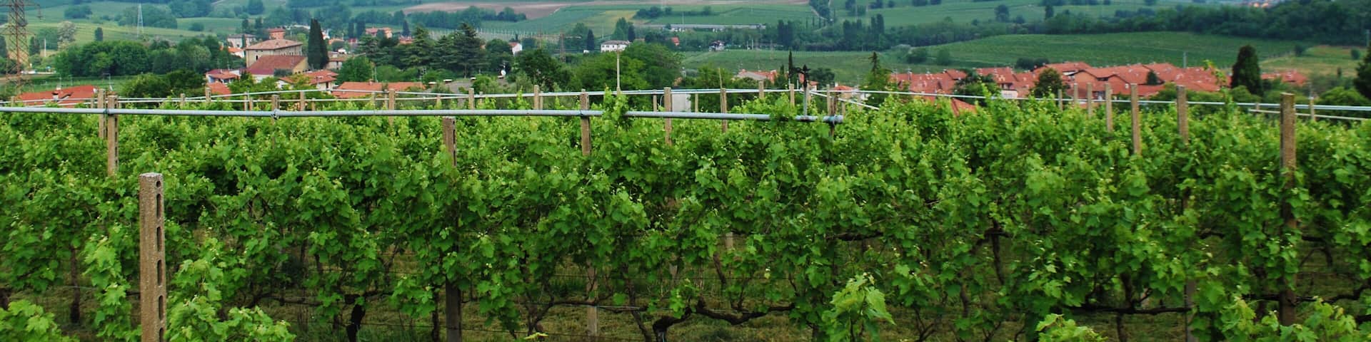 Panorama dall'ossario di Custoza a Sommacampagna in provincia di Verona, Veneto, Italia.