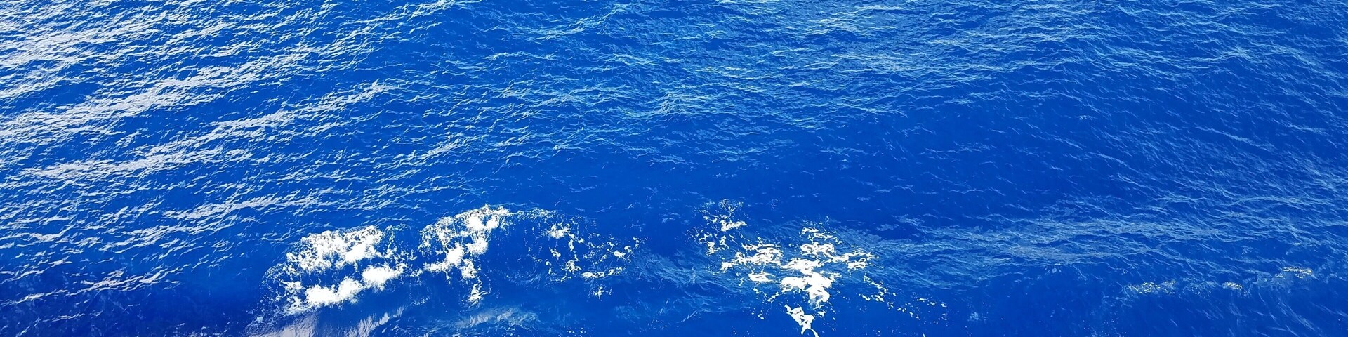 The blue blue water of the South Pacific in the middle of the Rangiroa atoll, Tuamotu Islands, French Polynesia.