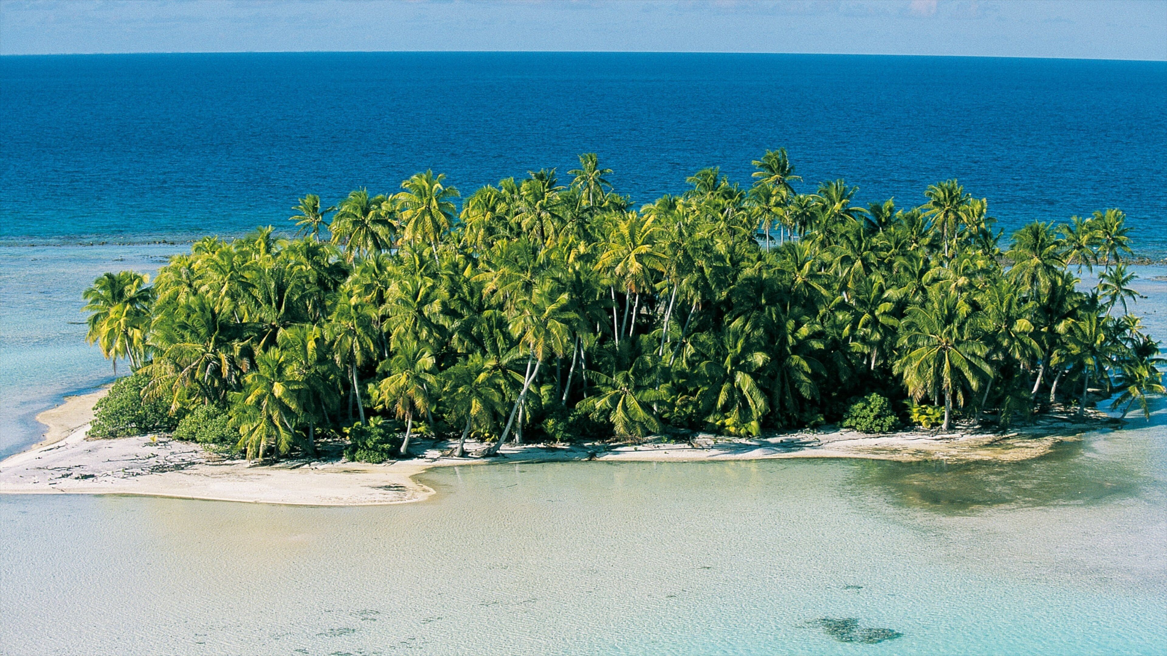 Rangiroa que incluye vistas de paisajes, vistas de una isla y una playa de arena