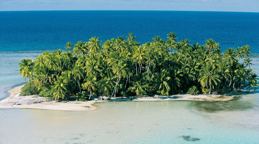 Rangiroa showing island views, landscape views and a beach