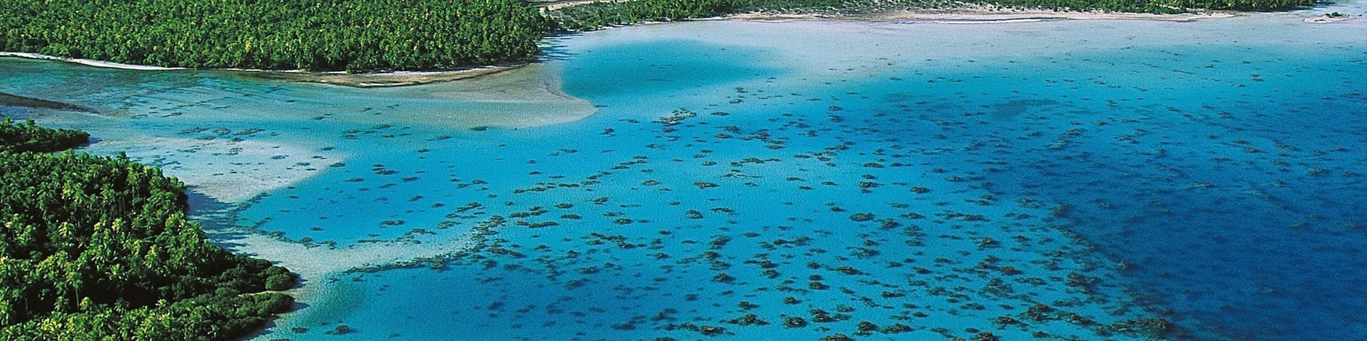Rangiroa which includes general coastal views