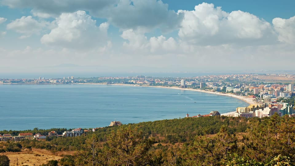A coastal city with a beach, buildings, and a forested area.