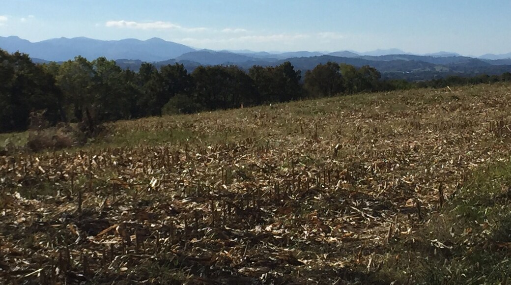 Just south of Navarrenx, France, nice walk with views of the Pyrenees.
