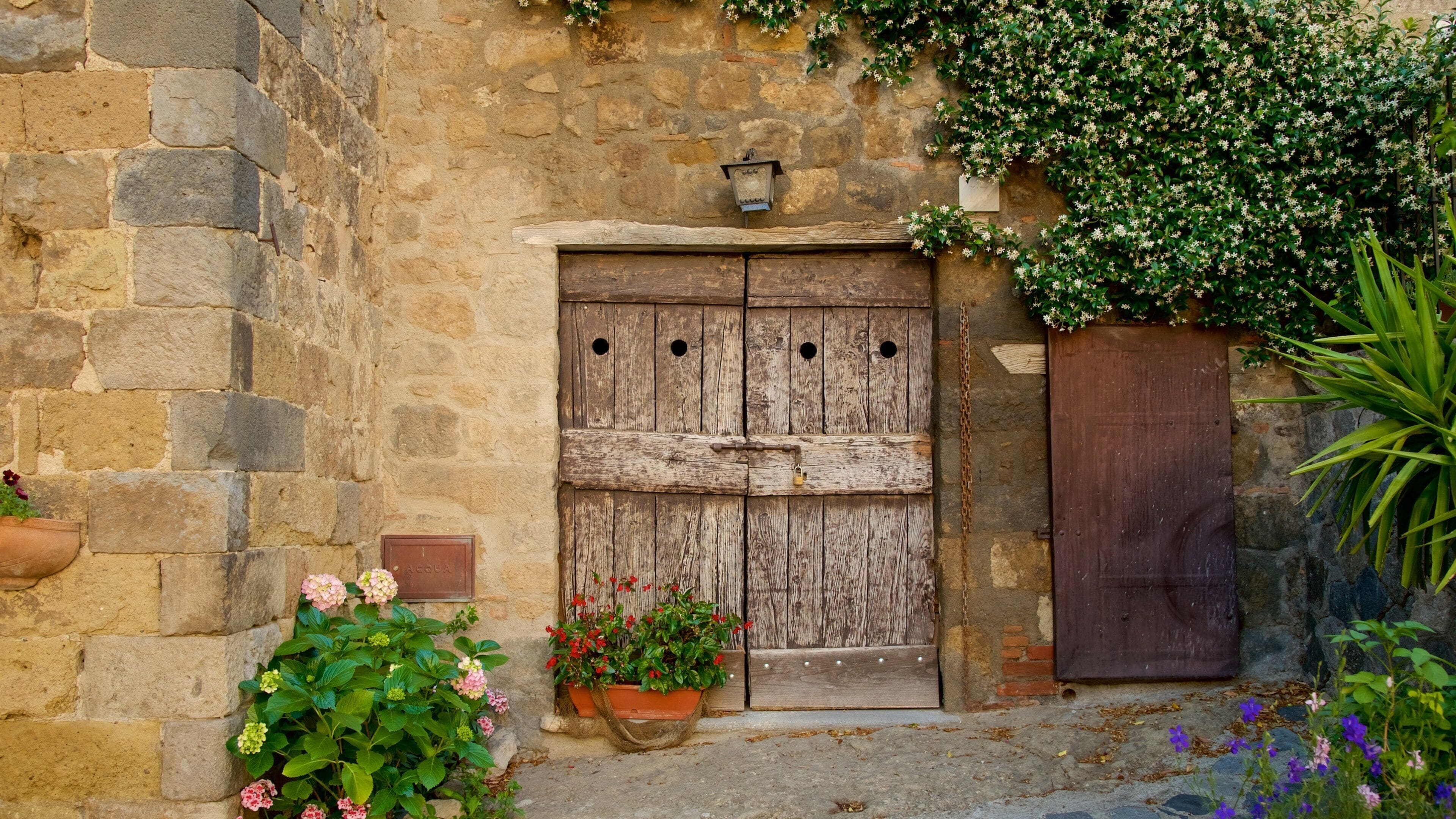 A rustic stone wall with a wooden door, potted plants, and a small sign.
