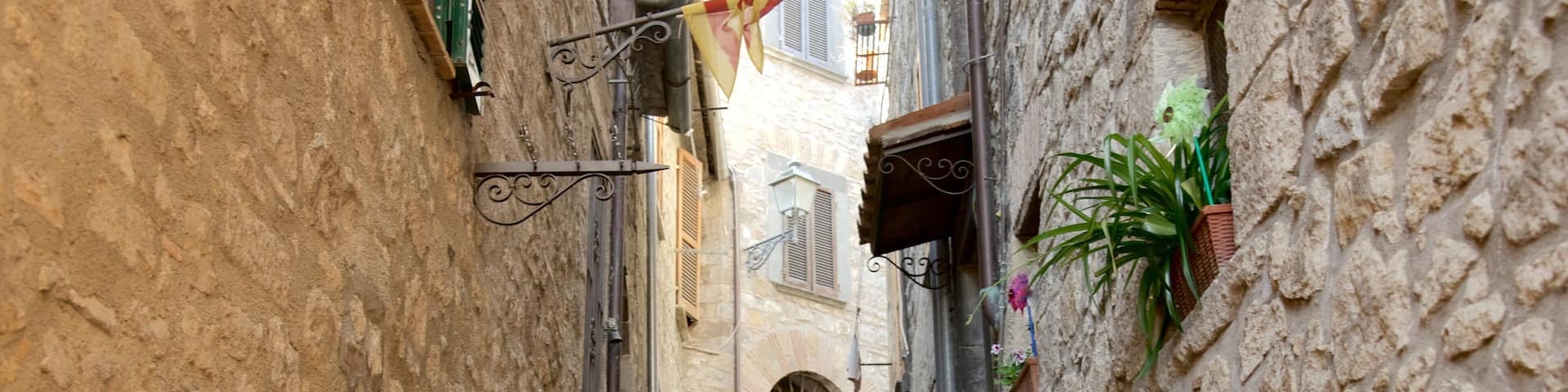 A narrow stone staircase in a historic town with potted plants and a flag.