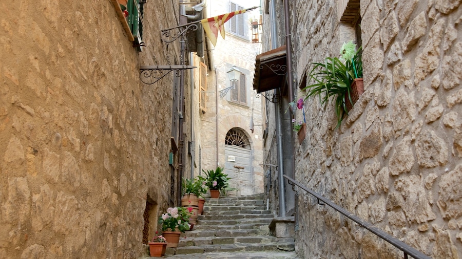 A narrow stone staircase in a historic town with potted plants and a flag.