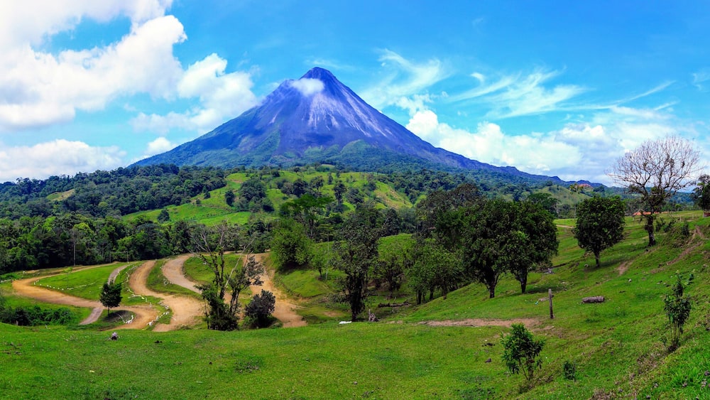 A lush green landscape with a prominent mountain in the background.