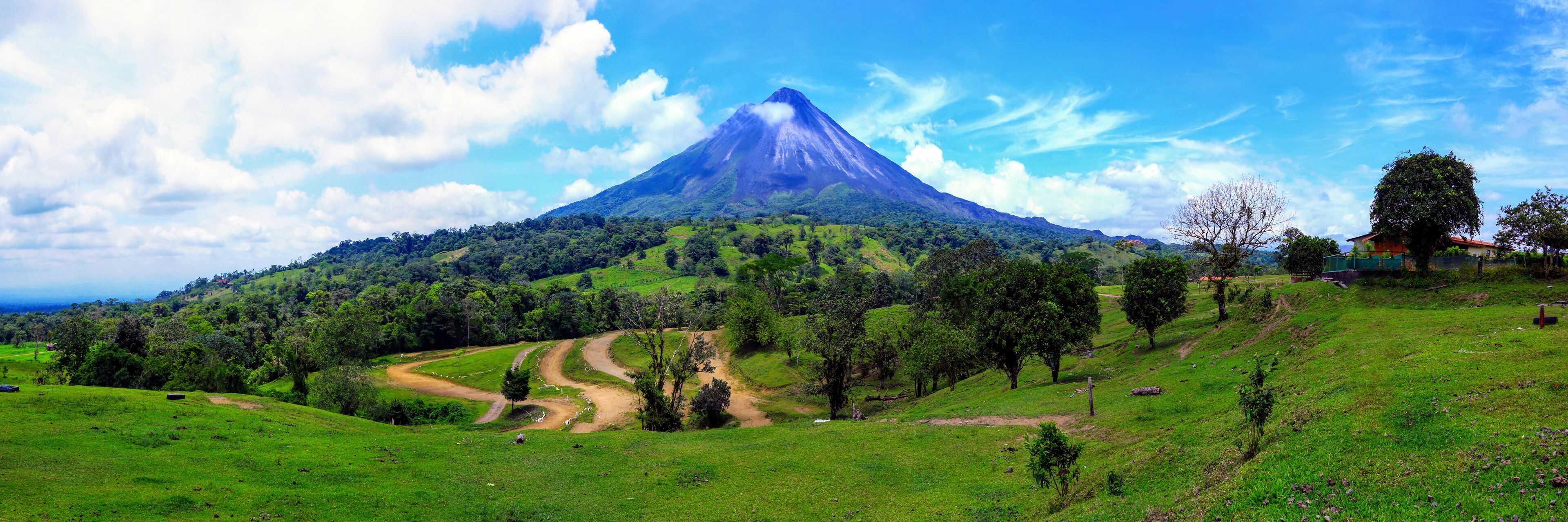 A lush green landscape with a prominent mountain in the background.