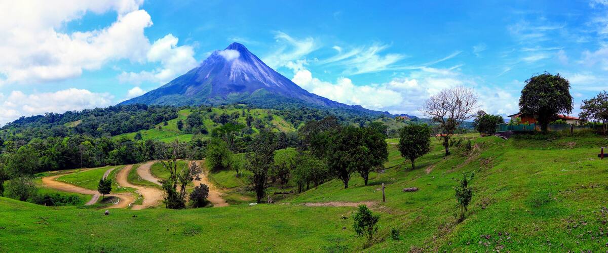 A lush green landscape with a prominent mountain in the background.