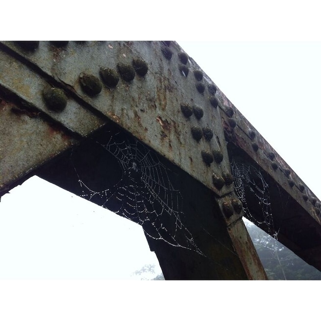 Puente ciudad Quesada, san Carlos, costa rica, tela de araña