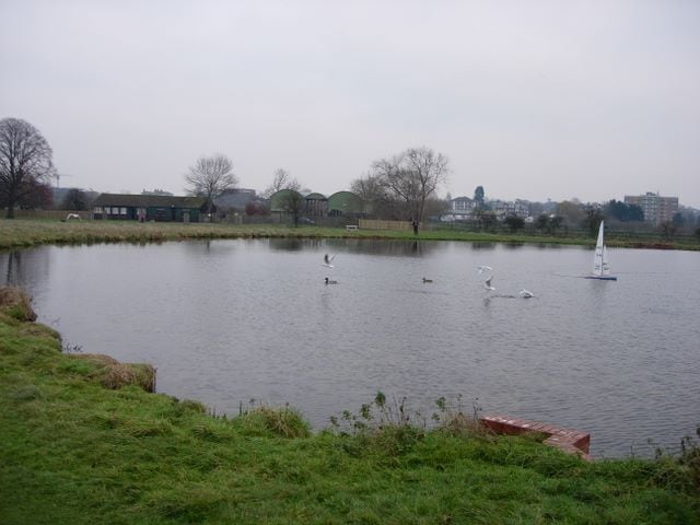 Rick Pond, Home Park With the farm buildings behind, and Kingston-upon-Thames behind them again across the Thames.