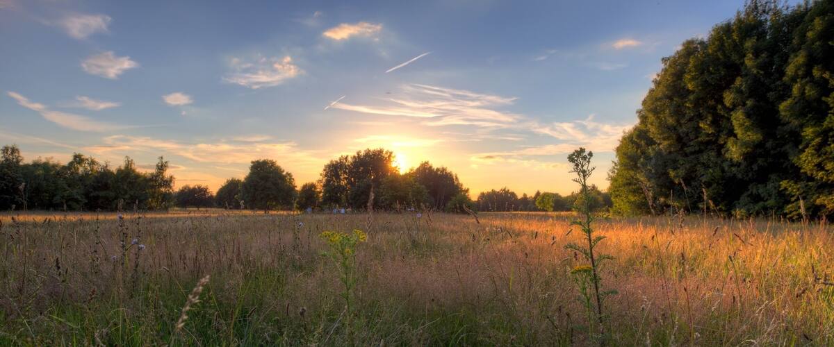 Sunset in Hurst Park