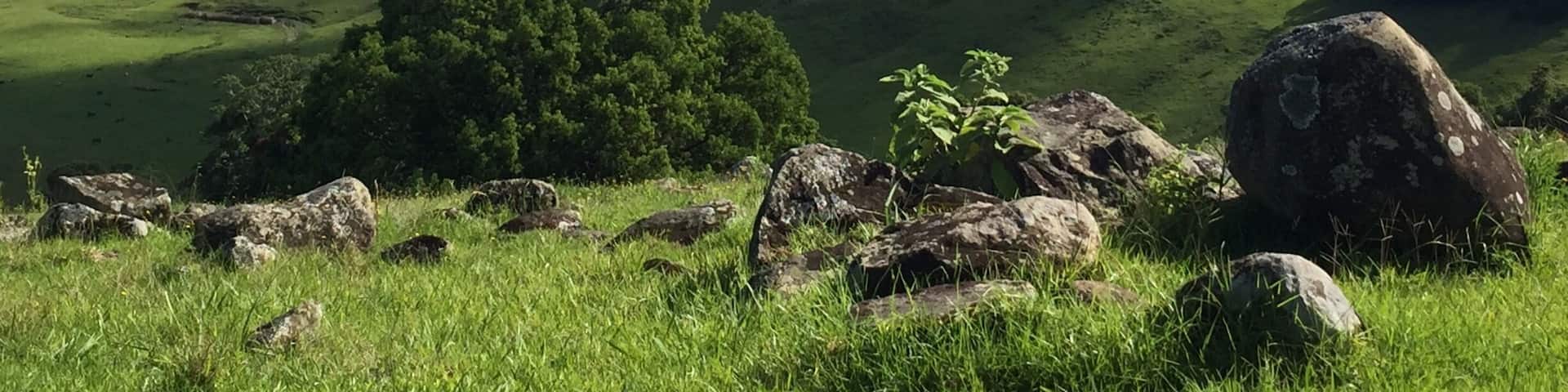 January 2018
10 minutes drive inland of Byron Bay is the hinterland that rolls toward the ocean.