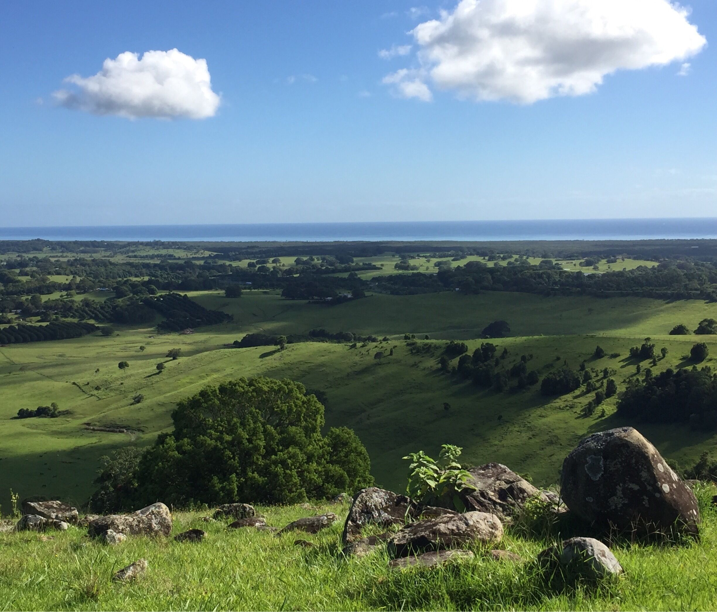 A lush green valley with rolling hills, scattered trees, and a distant view of the ocean under a clear blue sky.