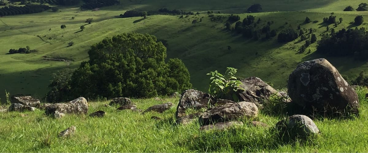 A lush green valley with rolling hills, scattered trees, and a distant view of the ocean under a clear blue sky.