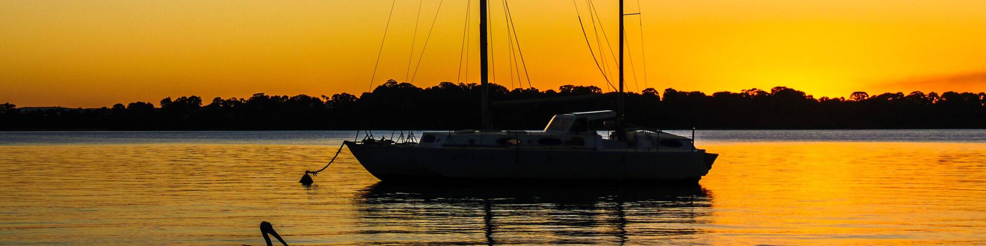 Penguin and sailboat flot in beautiful sunset colored water with reflections under orange sky