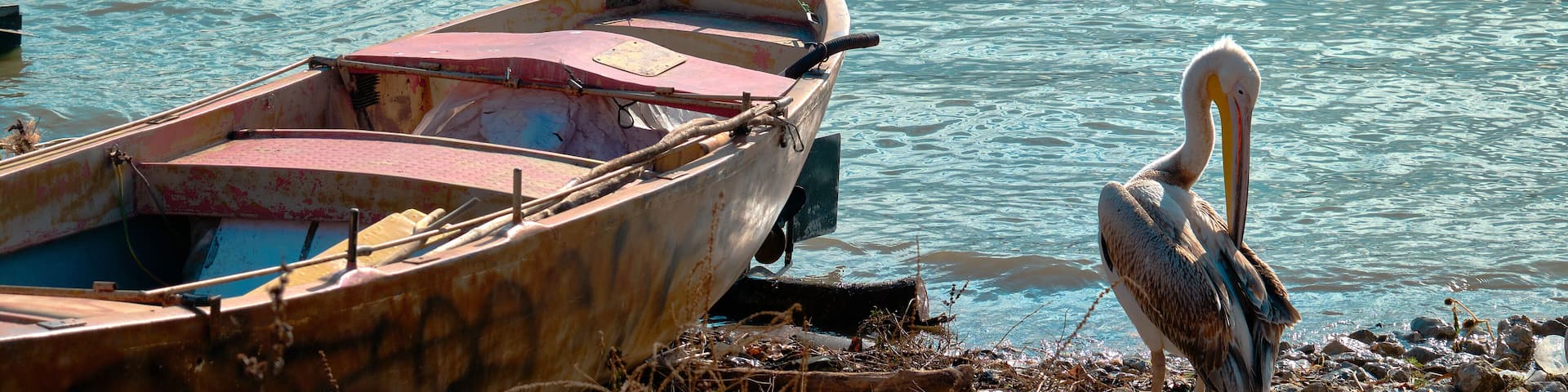 A boat with a swan standing on the shore.
