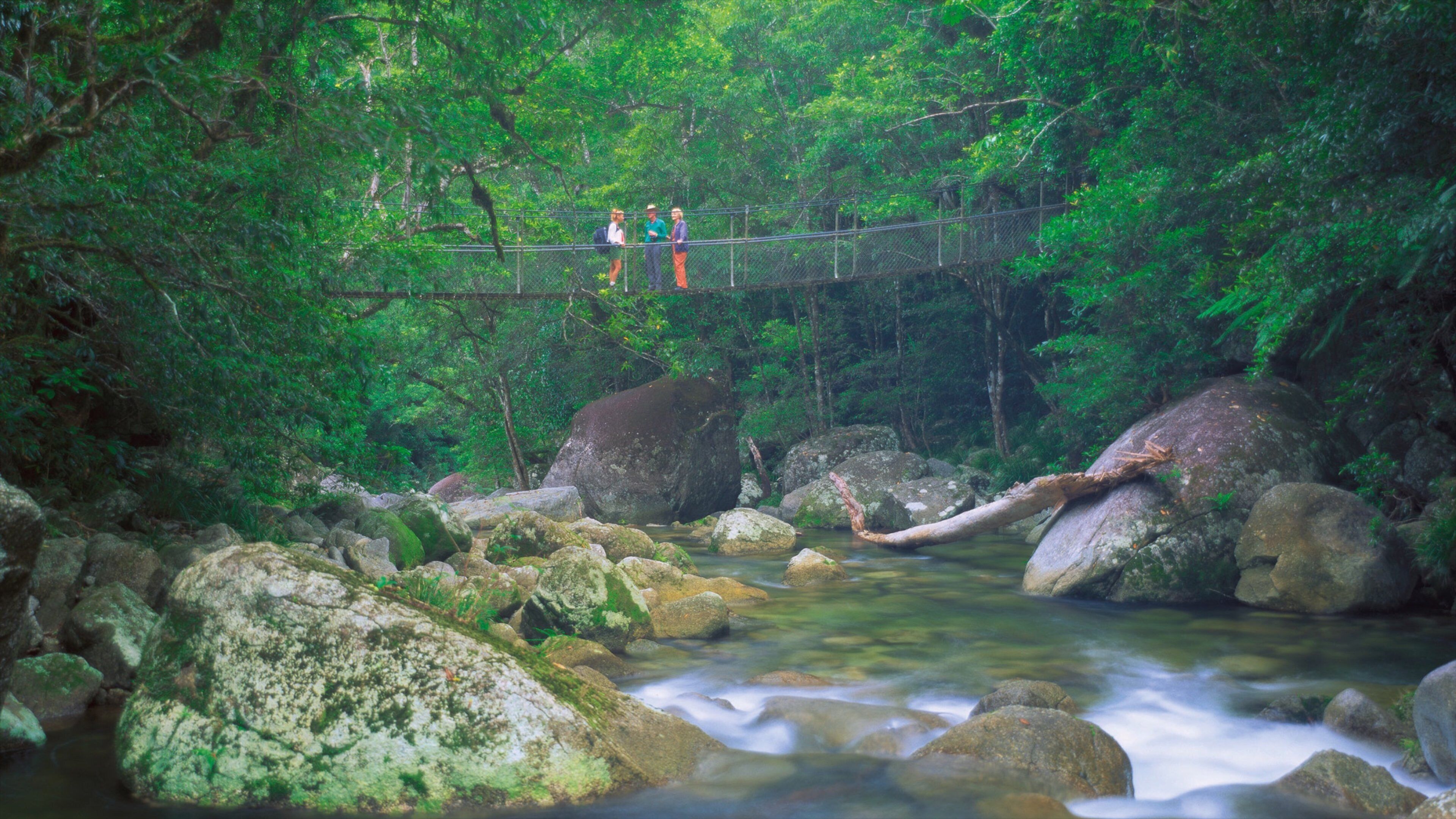 A suspension bridge over a river surrounded by dense forest and large rocks.