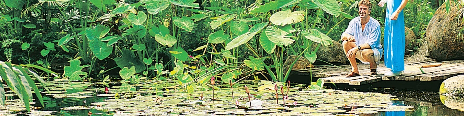 Daintree - Cape Tribulation featuring landscape views and a pond as well as a couple