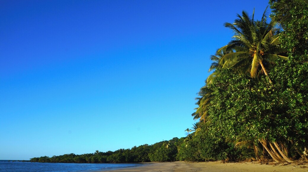 Camping next to Myall Beach is worth it just for the sunrise, but you'll also find coconuts dotting the shore that are perfect for having with your breakfast!
www.cheskiesgaplife.com