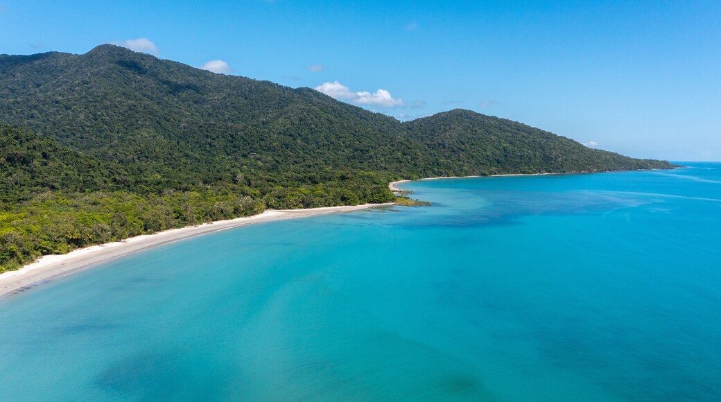 Cape Tribulation