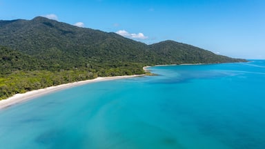 Cape Tribulation