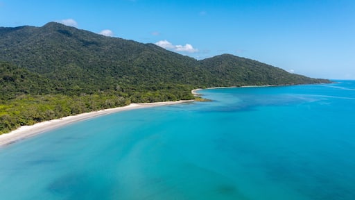 Cape Tribulation
