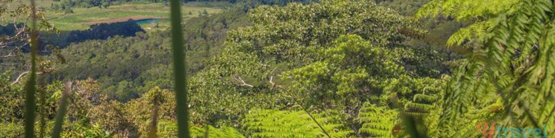 Alexandra Lookout. Stop in here for beautiful views out over the Alexandra Range and Snapper Island.
Here is where you see the Daintree River going into the sea and can get a clear picture of where two World Heritage Sites – the Daintree rainforest and the Great Barrier Reef meet. What a special part of the world.