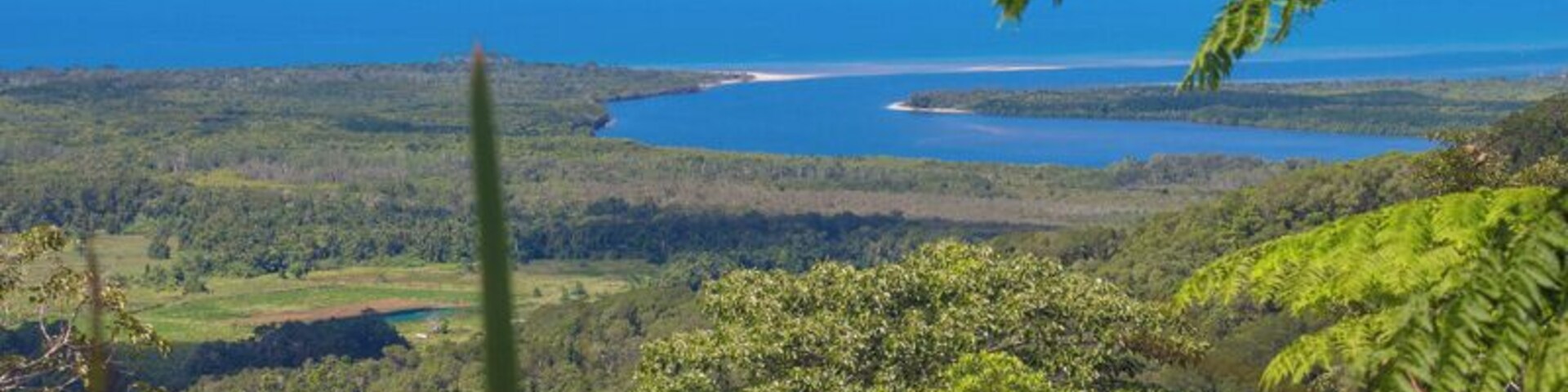 Alexandra Lookout. Stop in here for beautiful views out over the Alexandra Range and Snapper Island.
Here is where you see the Daintree River going into the sea and can get a clear picture of where two World Heritage Sites – the Daintree rainforest and the Great Barrier Reef meet. What a special part of the world.