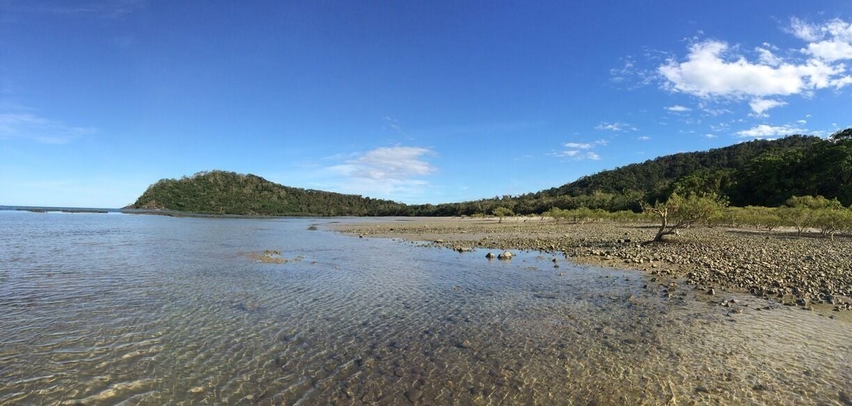 Cape Tribulation in Northern Queensland, Australia is one of my favourite places.  
Daintree #NationalPark