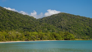 A tropical beach with clear turquoise waters, surrounded by lush green mountains.