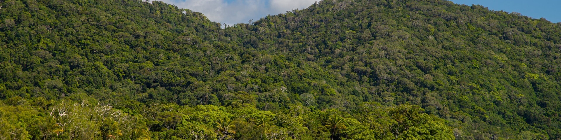 Una playa tropical con aguas turquesas cristalinas, rodeada de exuberantes montañas verdes.
