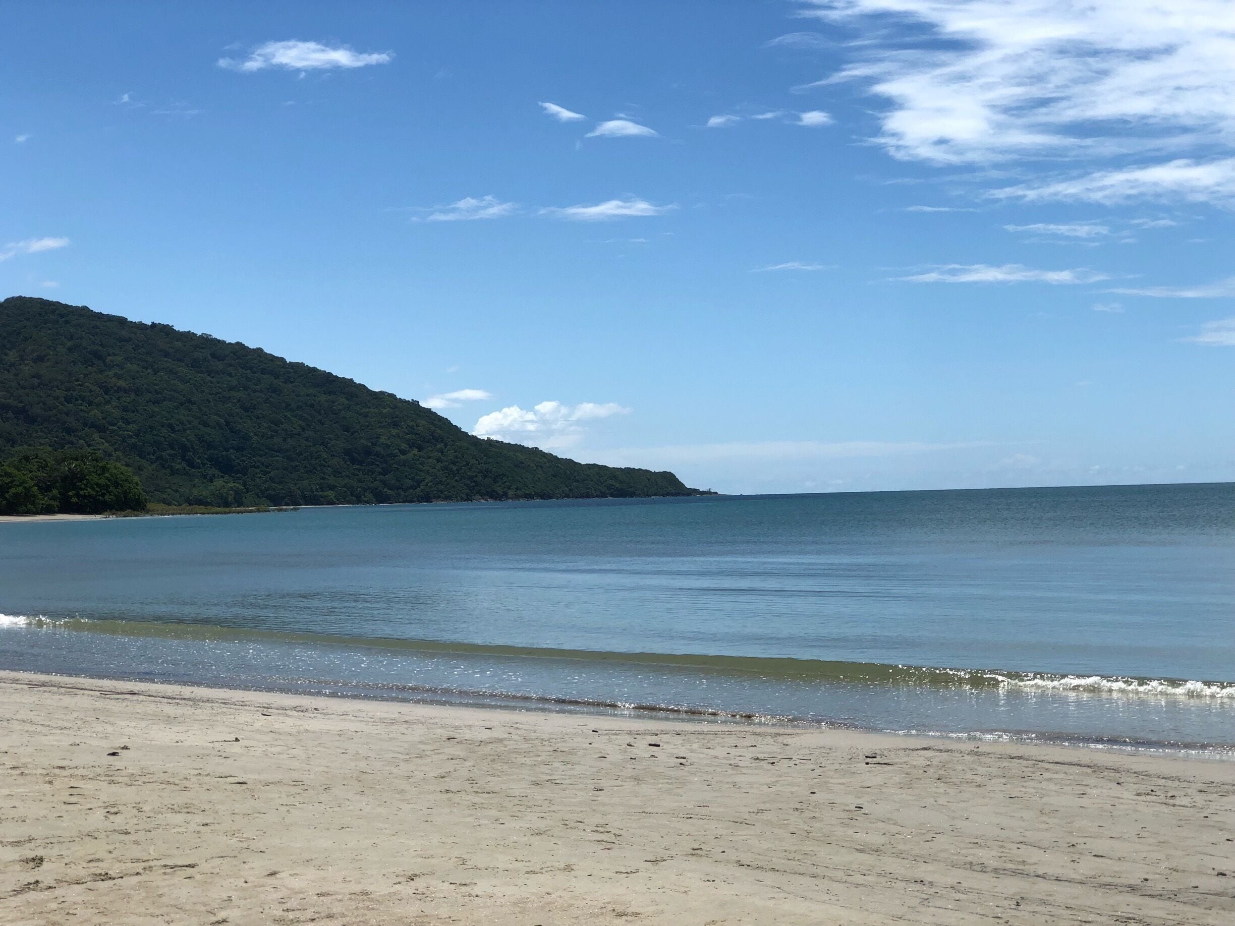 Great time at the The Daintree National Park in Port Douglas, AU.,
