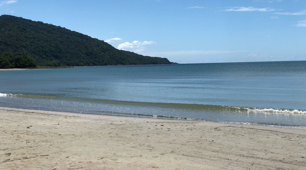 Great time at the The Daintree National Park in Port Douglas, AU.,
