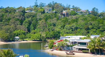 Noosaville mettant en vedette vues littorales et ville cĂŽtiĂšre