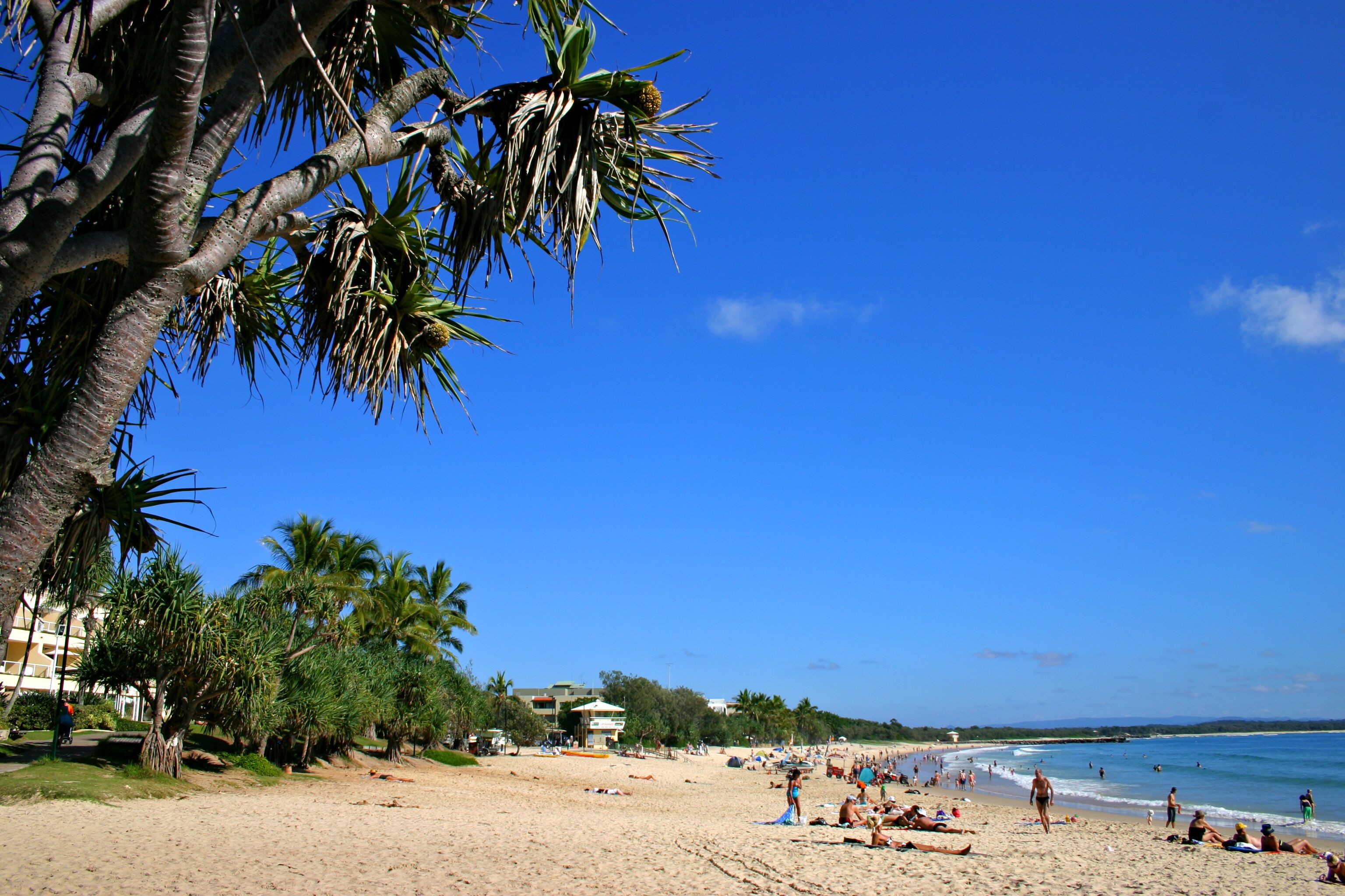 A beach with palm trees, people sunbathing, and a clear blue sky.