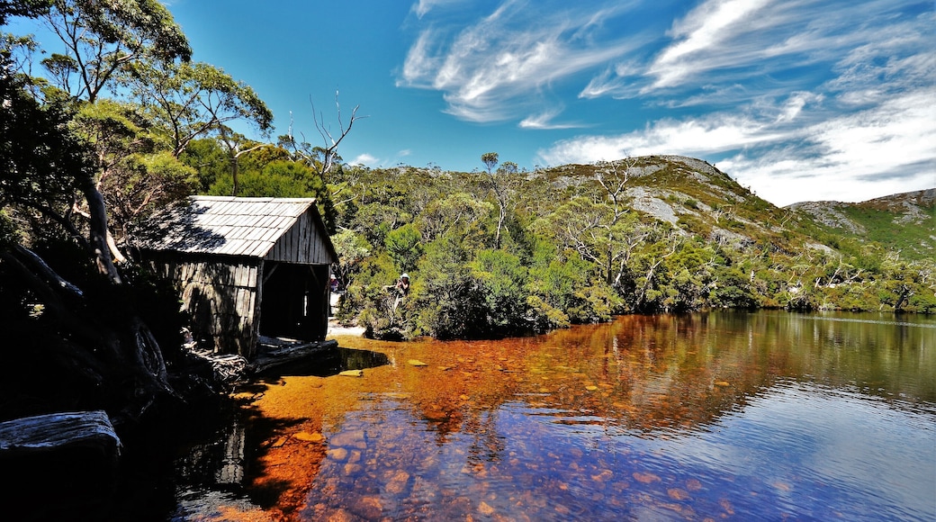 The vast majority of people turn up at Dove Lake, do the loop around it and go home satisfied. My hand is up, that's exactly what I did first time. However, that represents about 10-15% of what's on offer and the shots of the iconic boatshed lead people to thinking it's unique. However, if you to the Crater Lake walk, you'll not only come across other lakes (Lilla, Crater and Wombat Pool) and tarns, but also another boatshed on Crater Lake, as shown here. It's a great walk, takes about 3 hours and is scenic all the way.